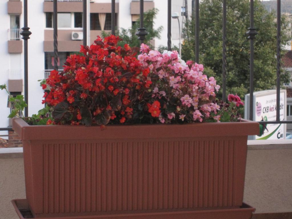 Apartments City Center Tivat Ngoại thất bức ảnh