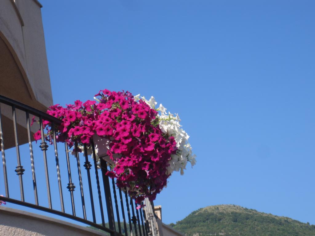 Apartments City Center Tivat Ngoại thất bức ảnh